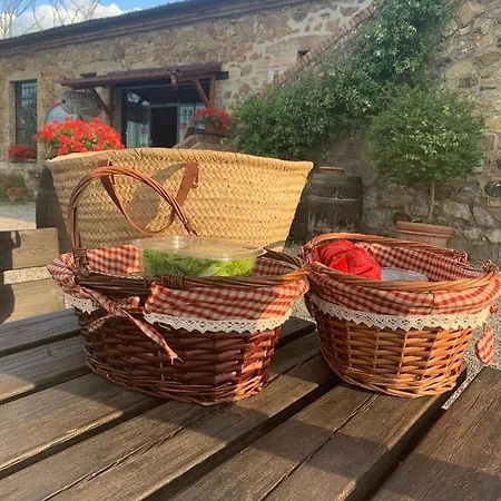 Wine Colsereno Gospodarstwo agroturystyczne Montalcino