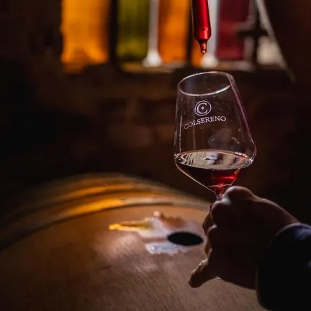 Wine Colsereno Gospodarstwo agroturystyczne Montalcino