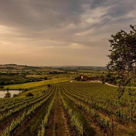 Gospodarstwo agroturystyczne Wine Colsereno