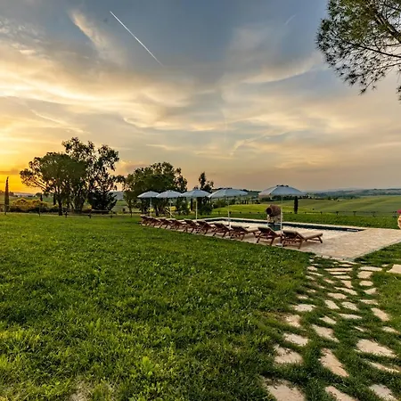 Wine Colsereno Montalcino