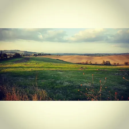 Gospodarstwo agroturystyczne Wine Colsereno Montalcino