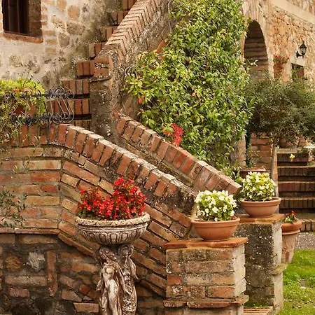 Wine Colsereno * Montalcino