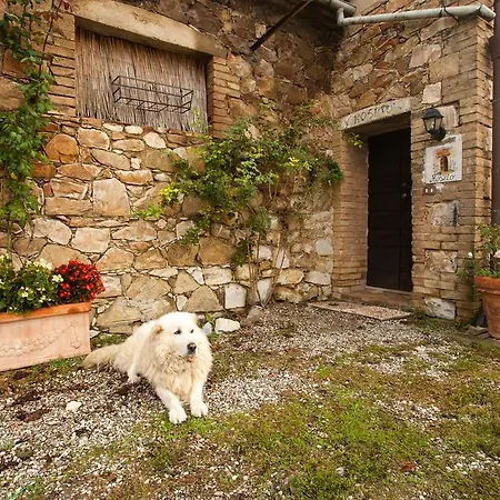 Wine Colsereno * Montalcino
