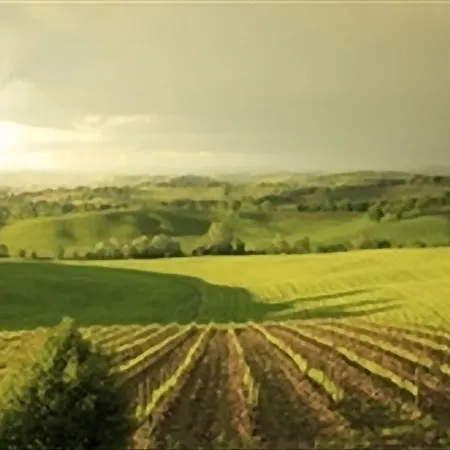 Wine Colsereno
