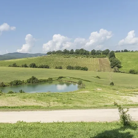Wine Colsereno * Montalcino