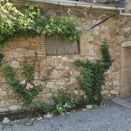 Wine Colsereno