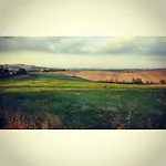 Farmház Wine Colsereno Montalcino