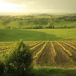 Farmház Wine Colsereno *