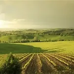 Wine Colsereno