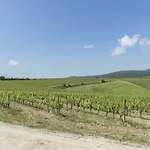 Wine Colsereno *