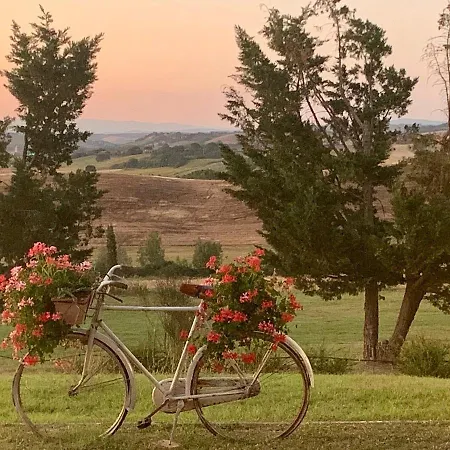 Alloggio per agriturismo Wine Colsereno Montalcino