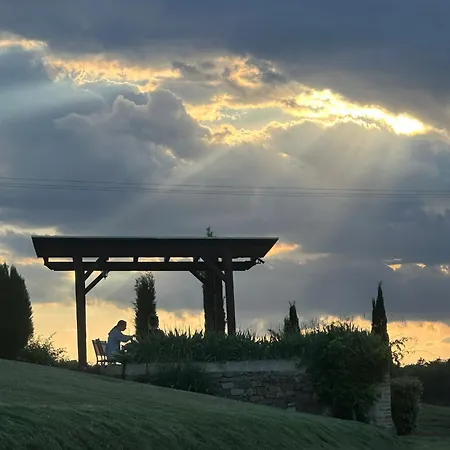 Alloggio per agriturismo Wine Colsereno