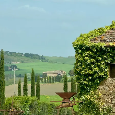 Wine Colsereno