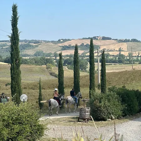 Wine Colsereno Alloggio per agriturismo *