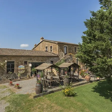 Wine Colsereno * Montalcino